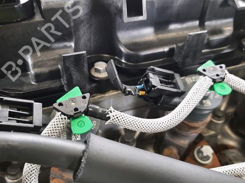 Engine FORD FIESTA VI (CB1, CCN) 1.4 TDCi | BP31875819M1