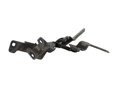 Hinge/Door check strap RENAULT CLIO III (BR0/1, CR0/1) | BP27915040C146