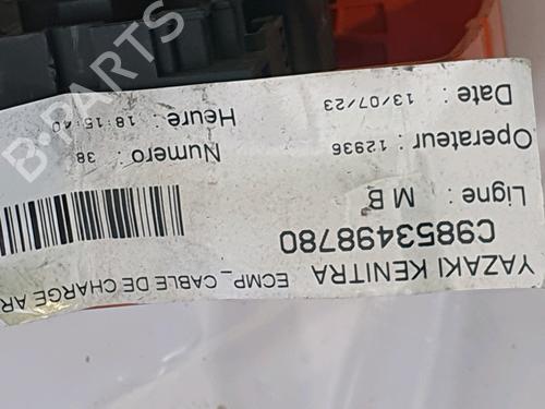 Cable CITROËN C4 III (BA_, BB_, BC_) ë-C4 (BCZKWC) | BP31239833E12