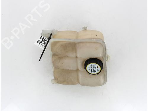 Expansion tank FORD KUGA I 2.0 TDCi 4x4 | BP17202454C120 