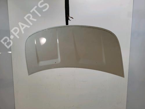 Used Hood SMART FORFOUR (454) 1.5 CDI (454.000) (68 hp) 31699346