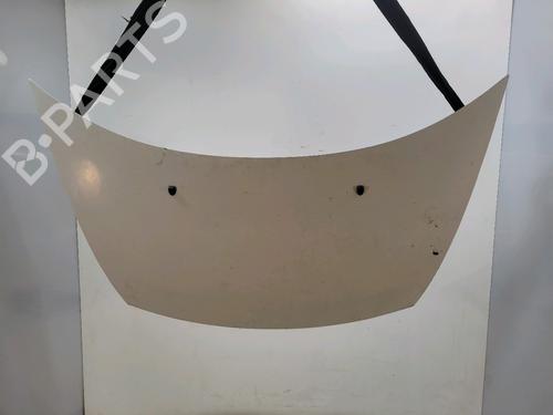 hood-citroen-c3-i-fc_-fn_-2002-2003-2004-2005-2006-2007-2008-2009-2010-2011-2012-2013-31985558 main image