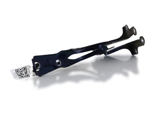 Hinge/Door check strap PEUGEOT 308 II (LB_, LP_, LW_, LH_, L3_) 1.5 BlueHDi 130 | BP29198827C146 