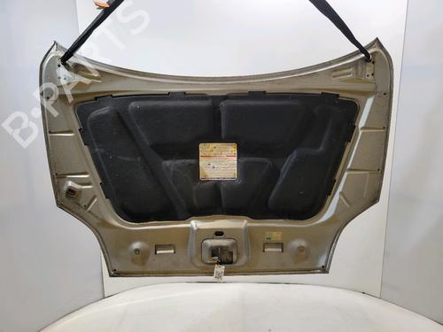 Hood FIAT CROMA (194_) 1.9 D Multijet (194AXB1B) | BP29171932C1