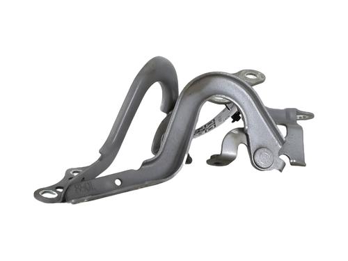 Hinge/Door check strap TOYOTA YARIS (_P13_) 1.3 (NSP130_, NSP130) | BP29931391C146