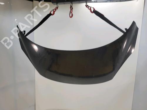 Used Hood RENAULT SCÉNIC III (JZ0/1_) 1.5 dCi (110 hp) 29552708
