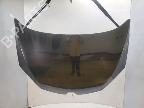 hood-renault-megane-iii-hatchback-bz01_-b3_-2008-39501670 main image