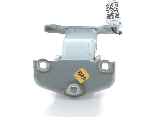 Dørhængsel/Dørbegrænser RENAULT TRAFIC III Van (FG_) 2.0 dCi 145 (FGML) (145 hp) 31578241