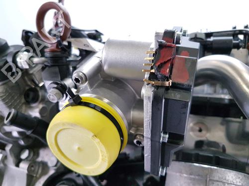 Engine VW TIGUAN (5N_) 2.0 TDI 4motion | BP36373890M1  - Image 14