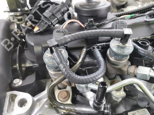 Engine RENAULT KANGOO Express (FW0/1_)  | BP28720658M1 