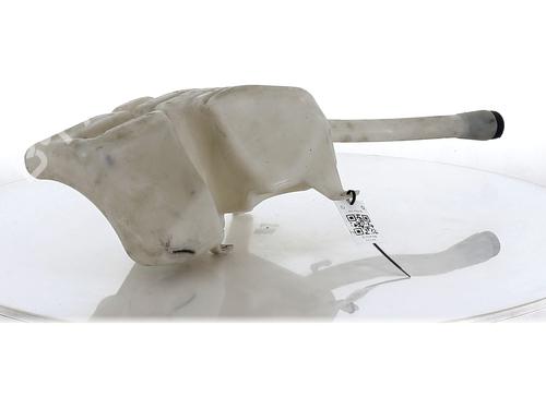 Used Windscreen washer tank FIAT DOBLO Cargo (263_) 1.3 D Multijet (90 hp) 20672501
