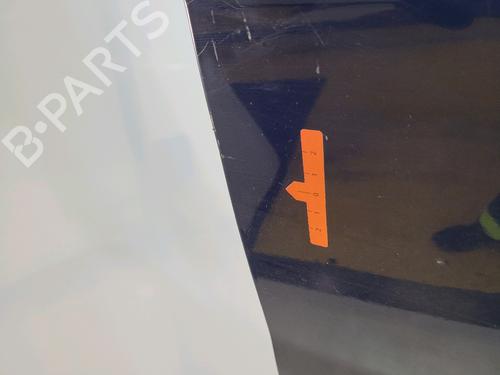 Right front door DACIA SANDERO 1.4 (BS0C, BS0A, BS0G, BS1F, BS0E) | BP26536462C3 