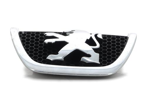 Grille PEUGEOT 206+ (2L_, 2M_)  | BP26536798C40 
