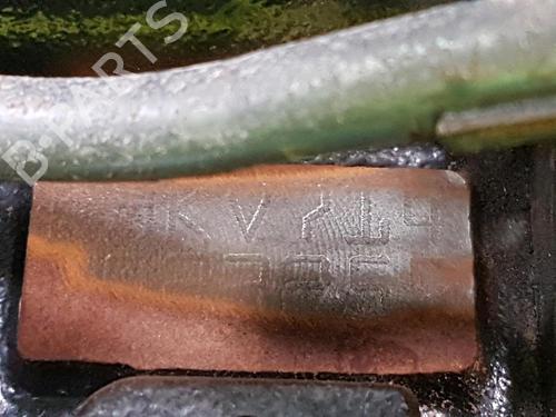 Engine RENAULT CLIO II (BB_, CB_)  | BP28207833M1 
