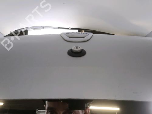 Tailgate DACIA SANDERO II TCe 90 (B8M1, B8MA, B8AC) | BP39704967C6 - Image 4