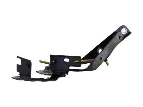 Dørhængsel/Dørbegrænser CITROËN C4 Picasso I MPV (UD_) 2.0 HDi 138 | BP30523969C146