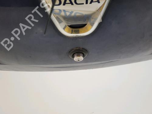 Tailgate DACIA SANDERO 1.4 (BS0C, BS0A, BS0G, BS1F, BS0E) | BP29346986C6 