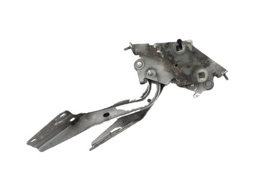 Used Hinge/Door check strap RENAULT MEGANE III Grandtour (KZ0/1) 1.5 dCi (KZ09, KZ0D, KZ1G, KZ29, KZ14, KZ1W, KZ10, KZ1F,... (110 hp) 32077617