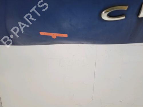 Tailgate RENAULT CLIO III (BR0/1, CR0/1) 1.5 dCi (C/BR0G, C/BR1G) | BP32202388C6 