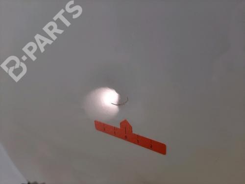 Used Left front door Left front door DACIA SANDERO 1.4 MPI LPG (72 hp) 10914570 10914570