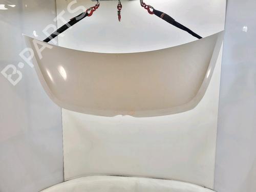 Cofano anteriore RENAULT MASTER III Van (FV) 2.3 dCi 110 FWD (FV0R, FV0W, FV1A) (110 hp) 30049082