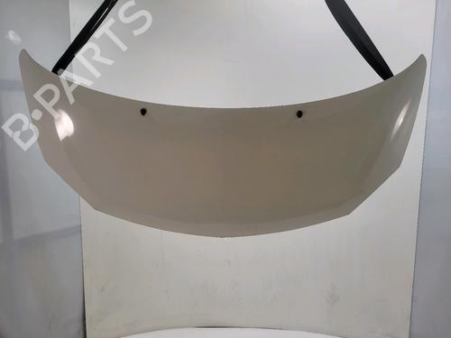 hood-renault-twingo-ii-cn0_-2007-38793151 main image