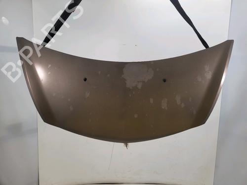 hood-renault-clio-iii-grandtour-kr01_-2007-32434341 main image