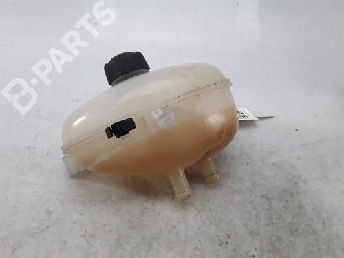 Expansion tank RENAULT TWINGO III (BCM_, BCA_) 0.9 TCe 90 (BCM9, BCM2) | BP11959976C120 