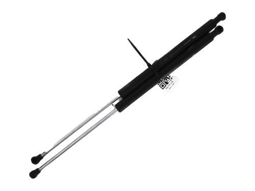 Used Tailgate lift support RENAULT LAGUNA II (BG0/1_) 1.9 dCi (BG08, BG0G) (120 hp) 29389729