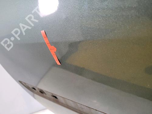 Left front door RENAULT MEGANE II (BM0/1_, CM0/1_) 1.5 dCi (BM1E, CM1E) | BP30049693C2 