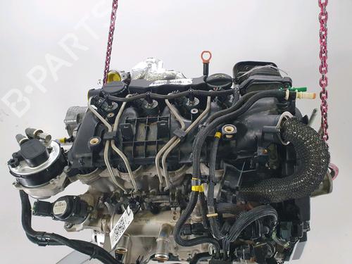 Engine FORD FOCUS II (DA_, HCP, DP)  | BP33973174M1  - Image 5