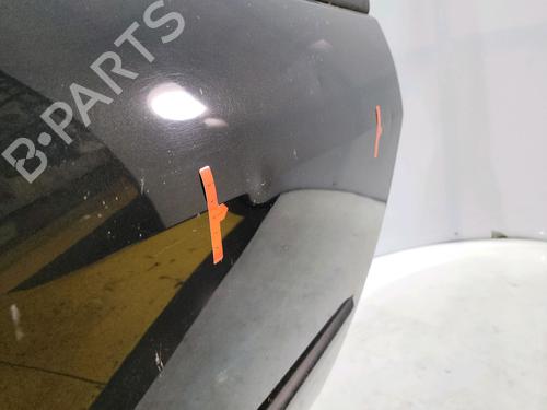 Right front door RENAULT SCÉNIC II (JM0/1_) 1.9 dCi (JM14) | BP28533970C3