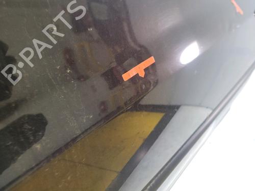 Left front door RENAULT CLIO III (BR0/1, CR0/1) 1.5 dCi | BP30313044C2 