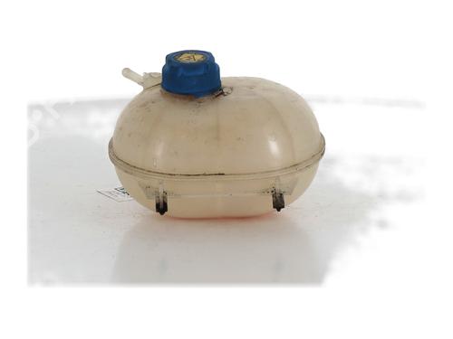 Used Expansion tank FIAT PANDA (169_) 1.3 D Multijet 4x4 (169.AXC2A) (70 hp) 28366225
