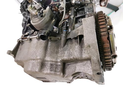 Engine RENAULT CLIO II (BB_, CB_)  | BP31913256M1 