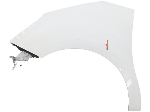 left-front-fenders-citroen-c3-ii-sc_-2009-33567966 main image