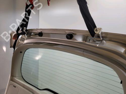 Tailgate RENAULT SCÉNIC III (JZ0/1_) 1.5 dCi | BP29762530C6