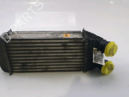 Used Intercooler CITROËN DS3 (SA_) 1.6 HDi 90 (92 hp) 28138021