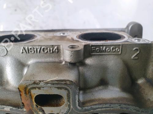 Cylinder head FORD FIESTA VI (CB1, CCN) 1.25 | BP31635389M5 
