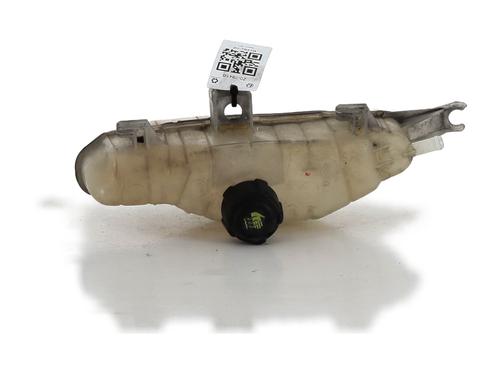 Used Expansion tank RENAULT CLIO III (BR0/1, CR0/1) 1.5 dCi (75 hp) 23070472