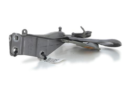 Hinge/Door check strap RENAULT ESPACE V (JR_) 1.6 TCe 200 | BP27912402C146 