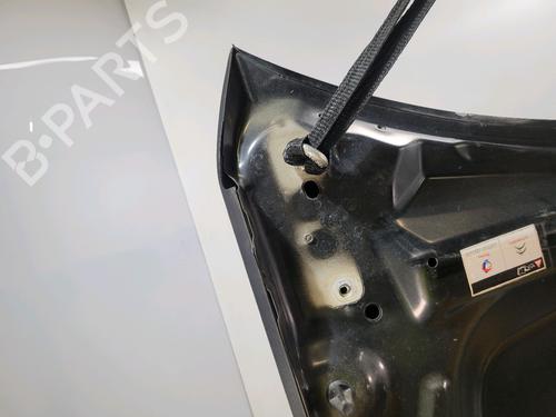 Hood CITROËN C4 II (NC_) 1.2 THP 110 (NCHNZ6, NCHNV6) | BP30190414C1