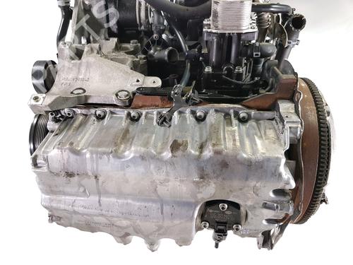 Engine VW GOLF VI (5K1)  | BP33925340M1  - Image 14