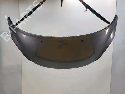 Used Hood PEUGEOT 207 (WA_, WC_) 1.4 HDi (68 hp) 30957848