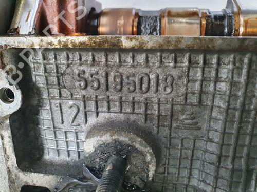 Cylinder head FIAT PANDA (169_)  | BP32201603M5 