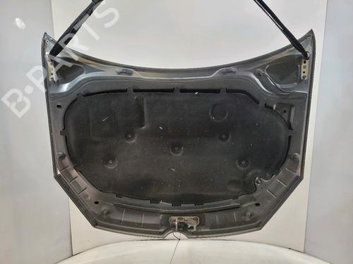 Hood VW GOLF VI (5K1) 1.6 TDI | BP29389874C1 