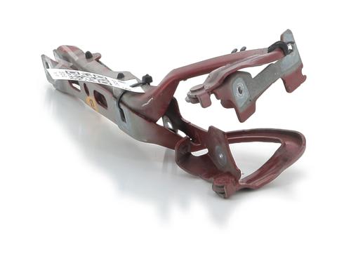 Hinge/Door check strap PEUGEOT 208 I (CA_, CC_) 1.2 VTi 68 / PureTech 68 | BP29762186C146 