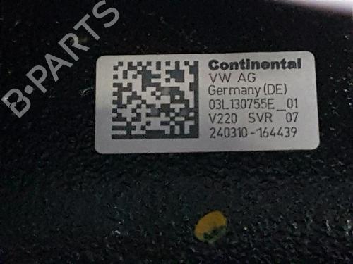 Engine VW POLO V (6R1, 6C1) 1.6 TDI | BP29443534M1 
