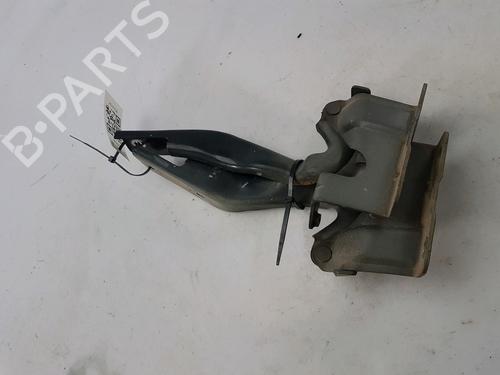 Hinge/Door check strap RENAULT KOLEOS I (HY_) 2.0 dCi 4x4 (HY0B) | BP27919403C146 