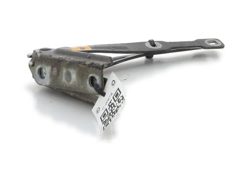 Hinge/Door check strap DACIA DUSTER (HS_) 1.6 16V | BP27912644C146 